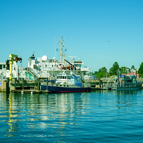 boats in a harbor